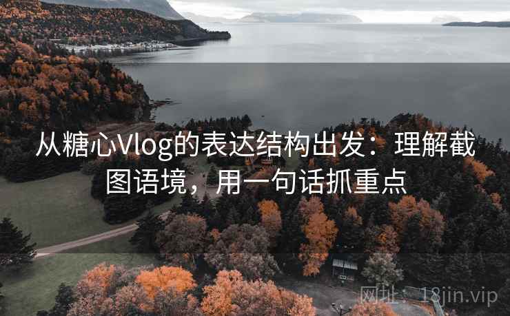 从糖心Vlog的表达结构出发:理解截图语境,用一句话抓重点 从糖心Vlog的表达结构出发:理解截图语境,用一句话抓重点